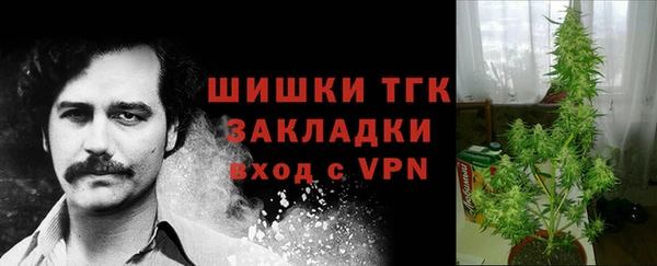 трава Бронницы