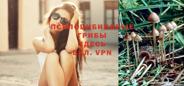 спайс Бородино