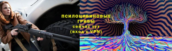 трава Бронницы