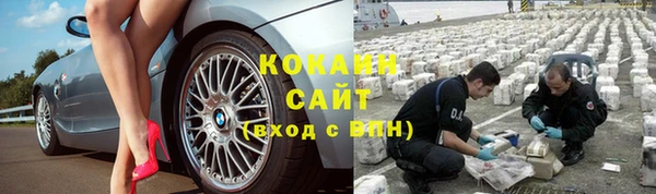 спайс Бородино