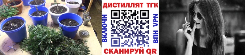 гидра вход  Чебоксары  ТГК THC oil  закладки 